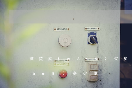 微貸網(wǎng)欠多少資金(微貸網(wǎng)多少億)