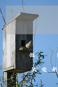 微貸網(wǎng)汽車(chē)抵押貸款逾期(我在微貸網(wǎng)做了車(chē)輛抵押貸款)