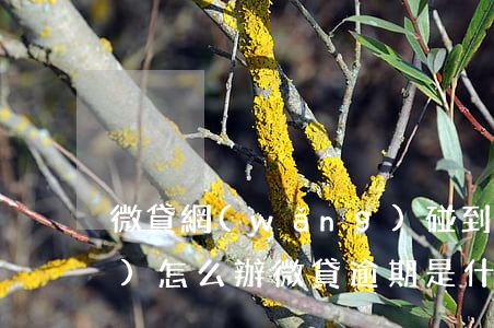 微貸網(wǎng)碰到逾期標(biāo)怎么辦(微貸逾期是什么意思)