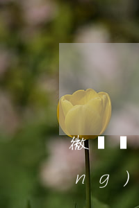 微貸網(wǎng)要起訴我（微貸網(wǎng)發(fā)短信起訴我）