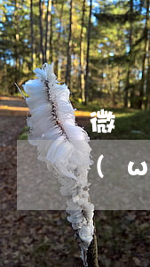微貸網(wǎng)貸款逾期一個月(小額網(wǎng)貸逾期)
