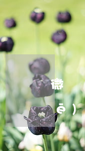 微貸網(wǎng)貸逾期多久收車(chē)(微貸網(wǎng)逾期一天就要結(jié)清還要拖車(chē)怎么辦)