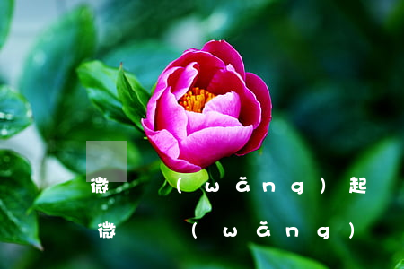 微貸網(wǎng)起訴我怎么辦（客戶起訴微貸網(wǎng)）