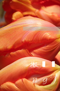 微貸網(wǎng)起訴案例(微貸網(wǎng)起訴案例分享)