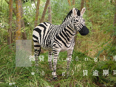 微貸網(wǎng)車貸逾期怎么算的(網(wǎng)貸逾期可以辦車貸嗎)