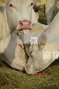 微貸網(wǎng)車貸還款逾期一天(微車貸逾期一天會(huì)有什么影響)