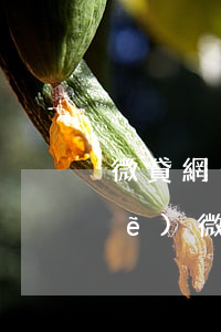 微貸網(wǎng)逾期一天就拖車(chē)(微眾車(chē)貸逾期多少天拖車(chē))