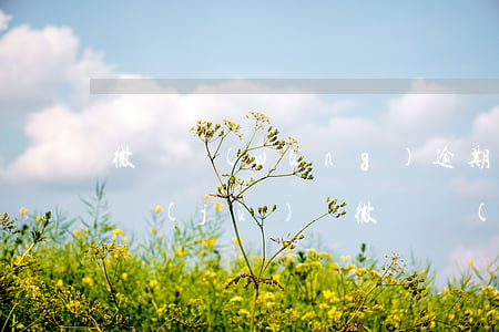 微貸網(wǎng)逾期上大數(shù)據(jù)嗎(微貸網(wǎng)近況)