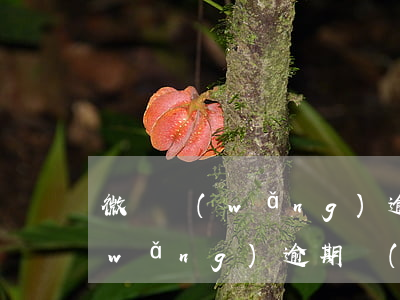 微貸網(wǎng)逾期了怎么辦(微貸網(wǎng)逾期補(bǔ)齊,怎么還整天催,如何投訴)