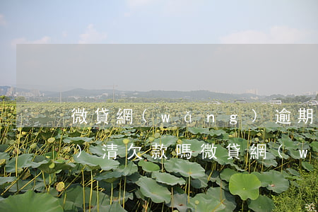 微貸網(wǎng)逾期后必須結(jié)清欠款嗎(微貸網(wǎng)逾期一天就要結(jié)清還要拖車怎么辦)