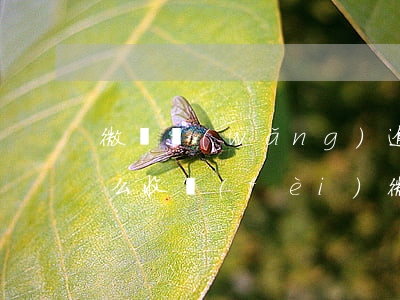 微貸網(wǎng)逾期拖車(chē)怎么收費(fèi)(微貸網(wǎng)委托第三方拖車(chē))
