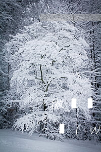 微貸網(wǎng)逾期會影響征信么(微貸網(wǎng)逾期會影響征信么)