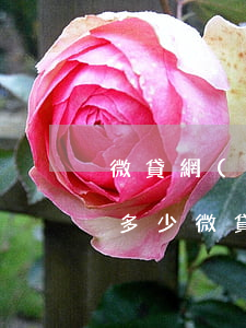 微貸網(wǎng)逾期費(fèi)用是多少(微貸逾期是什么意思)