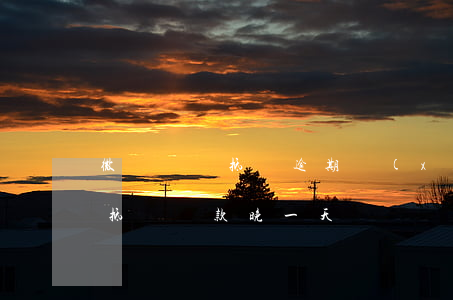 微貸網車抵貸逾期協(xié)商(微貸網車抵貸還款晚一天)