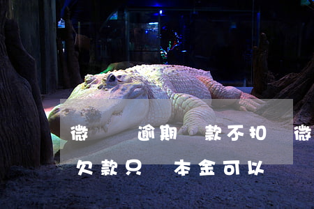 微貸網逾期還款不扣錢(微貸網倒閉了,借款人欠款只還本金可以嗎)