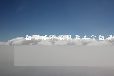 微貸能不能只還本金(微貸還能借款嗎)