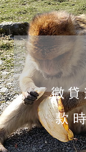 微貸逾期一天扣多少 微貸網(wǎng)扣款時間