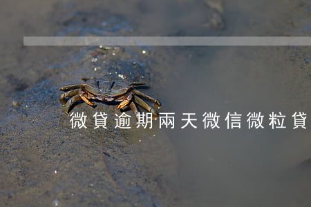 微貸逾期兩天(微信微粒貸逾期兩天)
