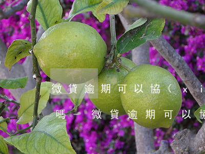 微貸逾期可以協(xié)商把違約金去了嗎-微貸逾期可以協(xié)商把違約金去了嗎是真的嗎