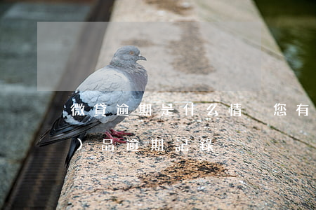微貸逾期是什么情況(您有微貸產(chǎn)品逾期記錄)