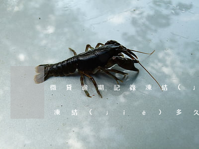 微貸逾期記錄凍結(jié)(微貸逾期記錄凍結(jié)多久)