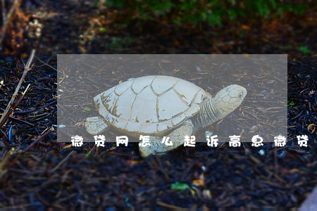 微贷网怎么起诉高息(微贷网起诉我怎么办)