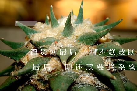 微贷网最后一期还款要联系客服吗-微贷网最后一期还款要联系客服吗是真的吗