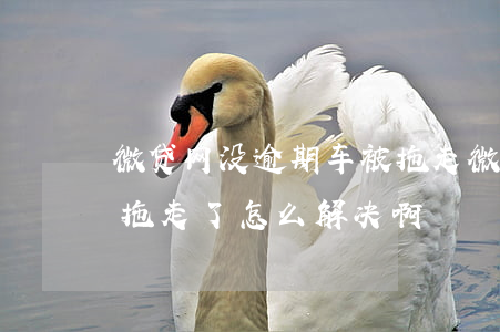 微贷网没逾期车被拖走(微贷网逾期三天车被拖走了怎么解决啊)