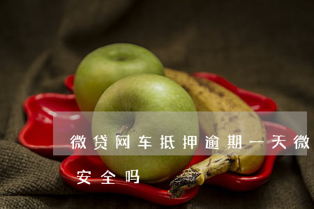 微贷网车抵押逾期一天(微贷网处置的抵押车安全吗)