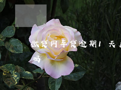 微贷网车贷逾期1天后果(网贷逾期车贷能过吗)