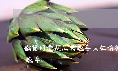 微贷网逾期几天拖车上征信（微贷网逾期几天拖车）
