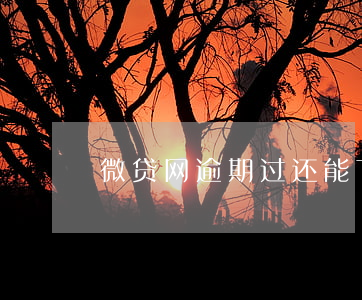 微贷网逾期过还能下款吗(微贷网还能借款吗)