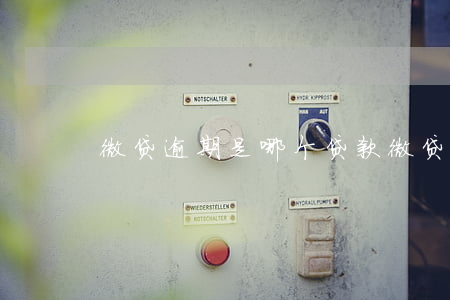 微贷逾期是哪个贷款(微贷逾期是哪个贷款)