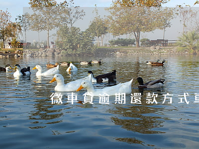微車貸逾期還款方式(車輛貸款逾期)