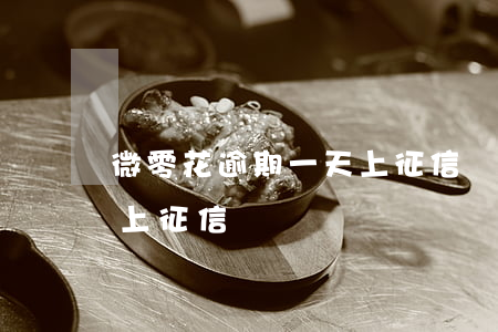 微零花逾期一天上征信嗎 微零花每筆交易都上征信嗎