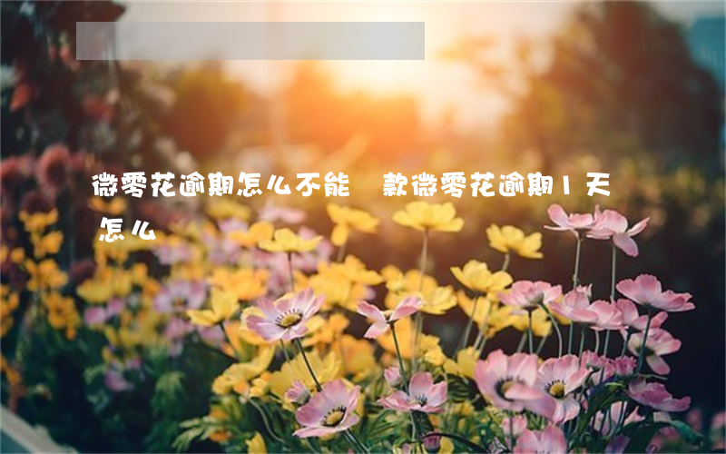 微零花逾期怎么不能還款(微零花逾期1天會怎么樣)