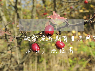 微零花逾期有額度用不了(微零花有額度無(wú)法使用)