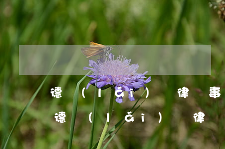 德來(lái)頌律師事務(wù)所(成都德來(lái)頌律師事務(wù)所)