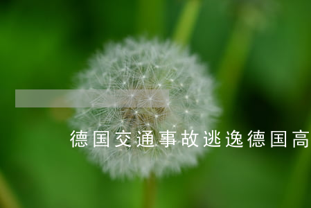德国交通事故逃逸(德国高速车祸)