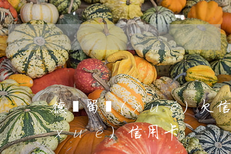 德國留學(xué)欠信用卡錢(德國留學(xué) 信用卡)