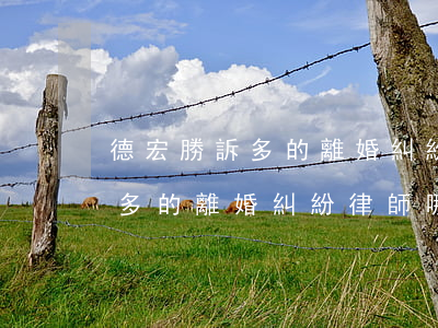 德宏勝訴多的離婚糾紛律師哪個好(德宏勝訴多的離婚糾紛律師哪個好)