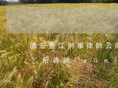 德宏盈江刑事律師(云南德宏律師事務(wù)所咨詢(xún))
