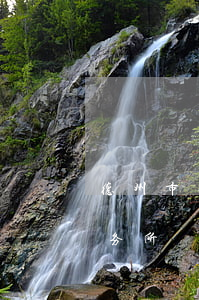 德州市律师事务所地址(德州市德城区律师事务所)