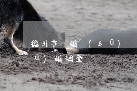 德州市離婚補(bǔ)辦(德州市德城區(qū)婚姻登記處)