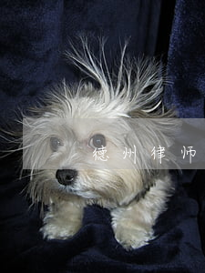 德州律师协会(德州律师协会电话)