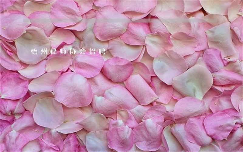 德州律师协会招聘