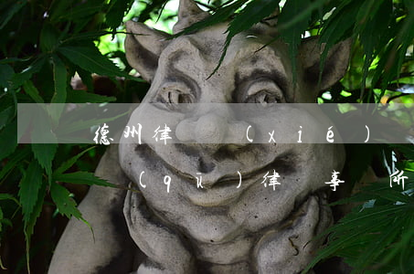 德州律師協(xié)會吳非繁(德州市德城區(qū)律師事務所)
