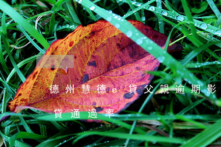 德州慧德e貸父親逾期影響孩子嗎-慧德e貸通過率
