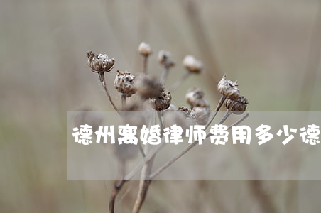 德州离婚律师费用多少(德州律师咨询)