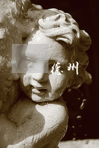 德州職務(wù)犯罪律師(山東德州刑事律師)